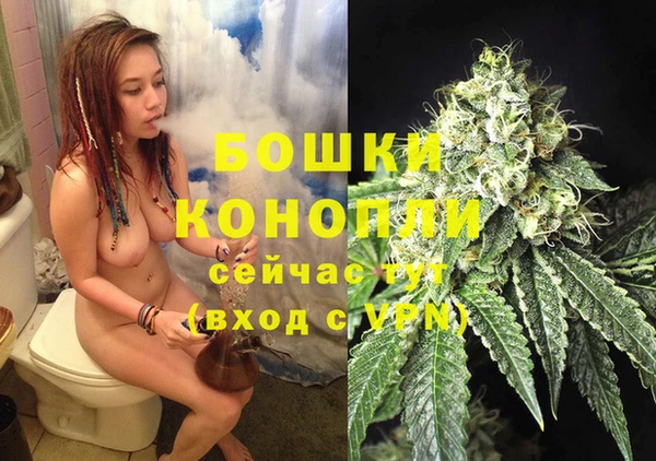 гидра Наволоки