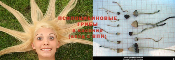 амфетамин Анива